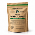 Australian Young Wheatgrass