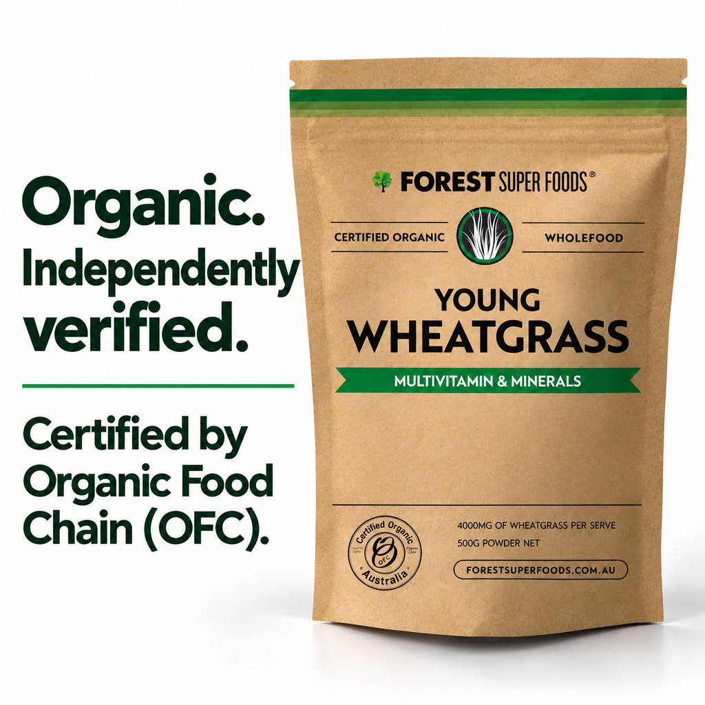 Australian Young Wheatgrass